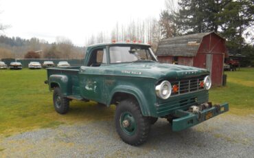 Dodge-Power-Wagon-1966-Standard-Cab-Pickup-8