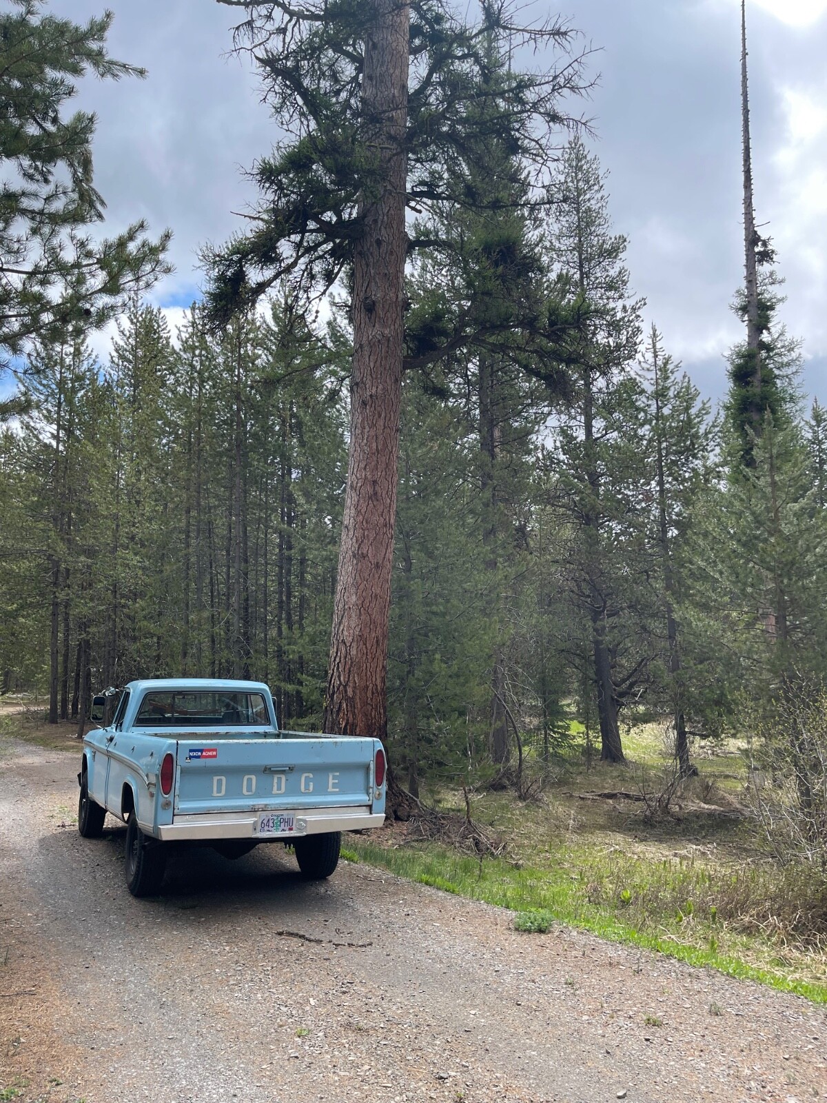 Dodge-Power-Wagon-1970-pick-up-1