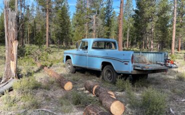 Dodge-Power-Wagon-1970-pick-up-10