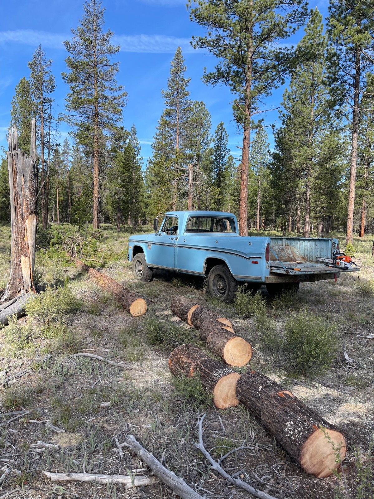 Dodge-Power-Wagon-1970-pick-up-10