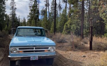 Dodge-Power-Wagon-1970-pick-up-4