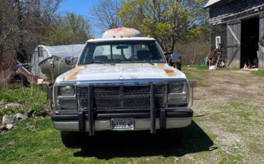 Dodge-Ram-d250-diesel-1993-white-1