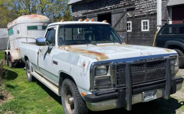 Dodge-Ram-d250-diesel-1993-white-2