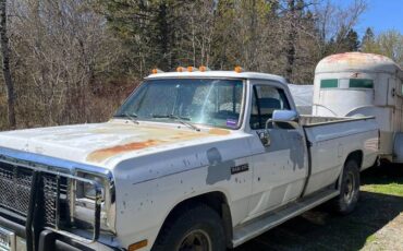 Dodge-Ram-d250-diesel-1993-white