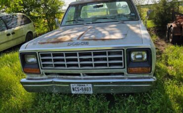 Dodge-Ram-pick-up-1982-white