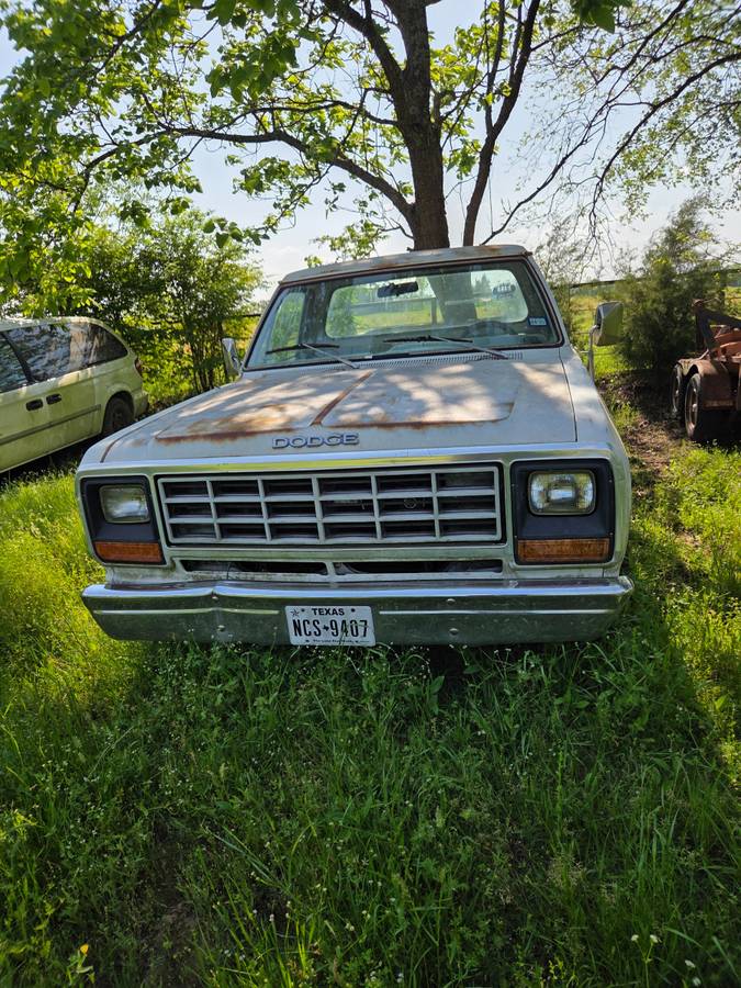 Dodge-Ram-pick-up-1982-white