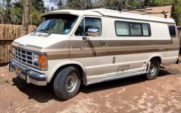 Dodge-Sportsmobile-1990-brown-1
