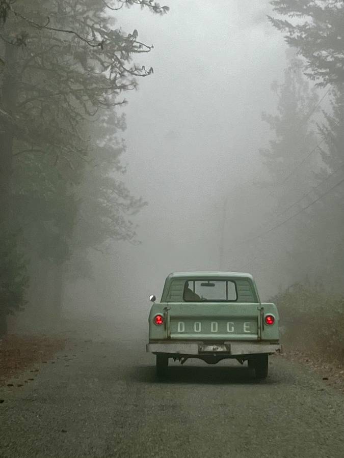Dodge-Sweptline-1963-green-12