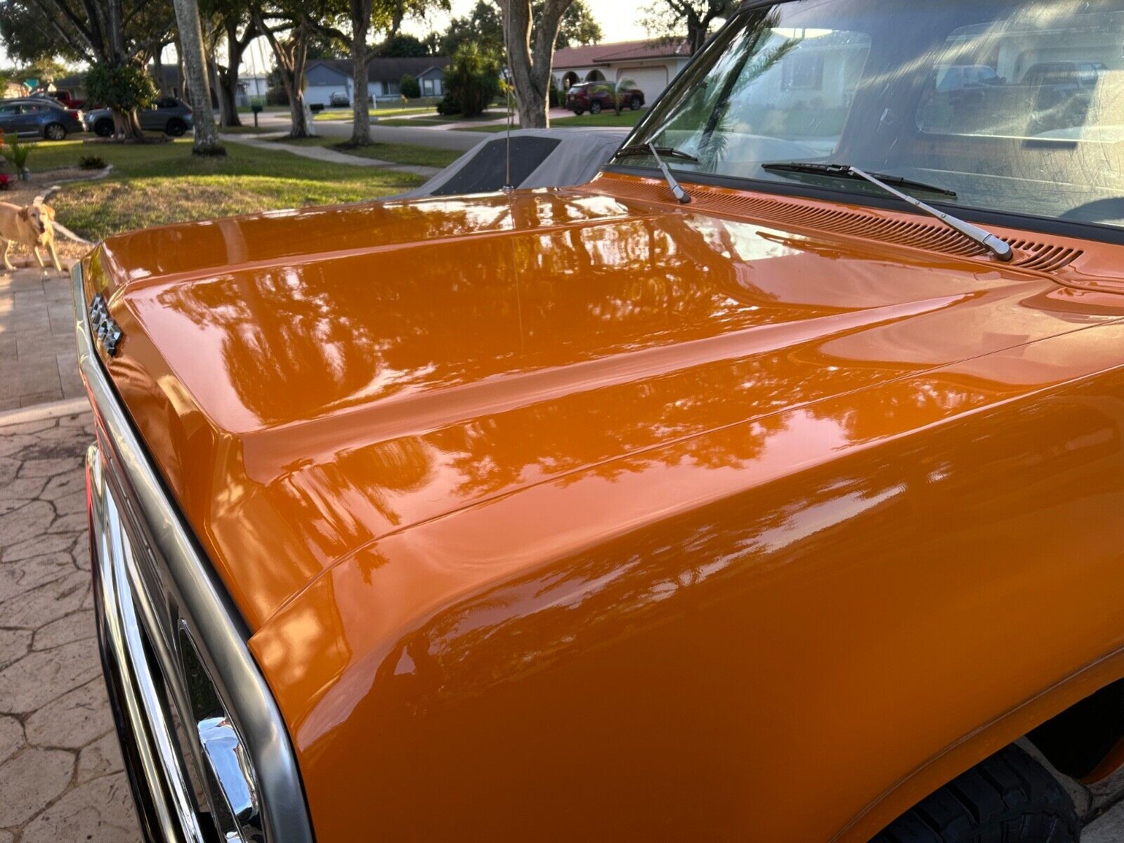 Dodge-W150-1980-Standard-Cab-Pickup-4