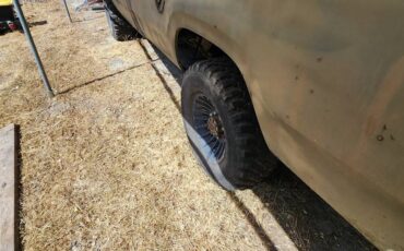 Dodge-W200-1976-11