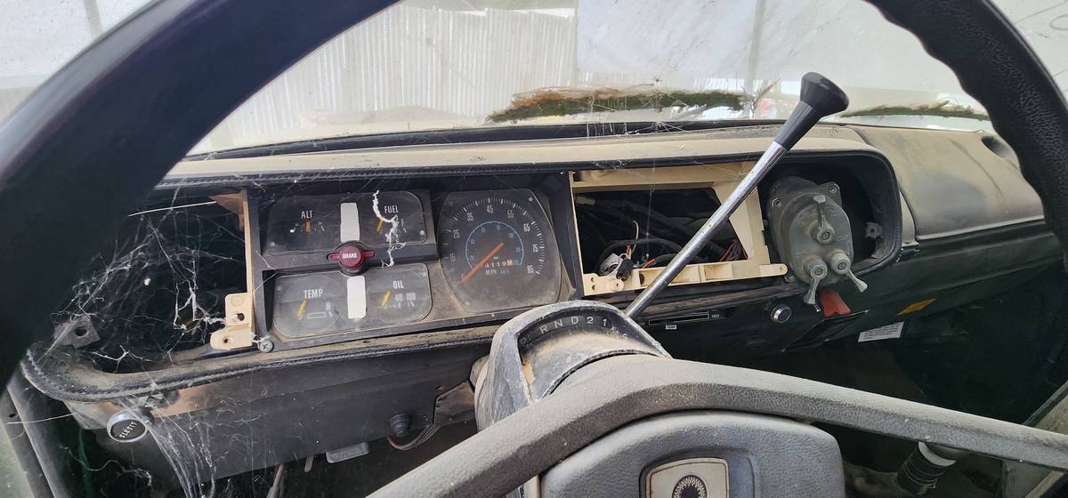 Dodge-W200-1976-18