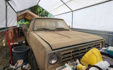 Dodge-W200-1976-6