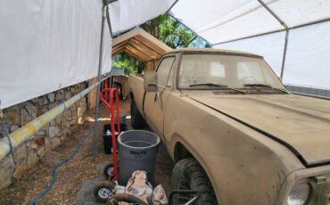 Dodge-W200-1976-7
