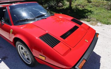Ferrari-308-1984-4