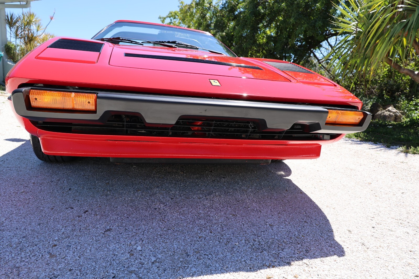 Ferrari-308-1984-6
