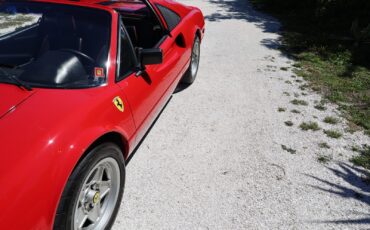 Ferrari-308-1984-9