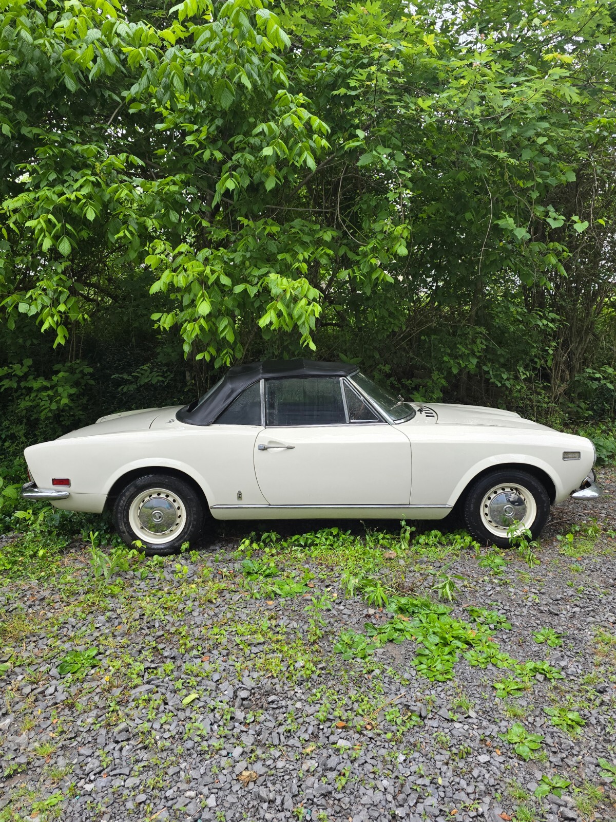 Fiat-124-Spider-1973-Convertible-6