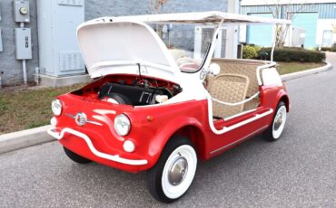 Fiat-Jolly-1970-Convertible-29