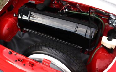 Fiat-Jolly-1970-Convertible-31