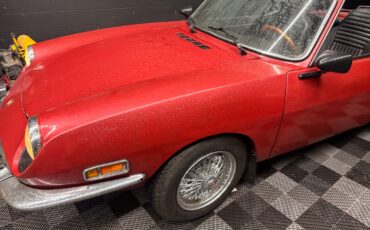 Fiat-Other-1969-Convertible-11