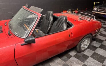 Fiat-Other-1969-Convertible-12