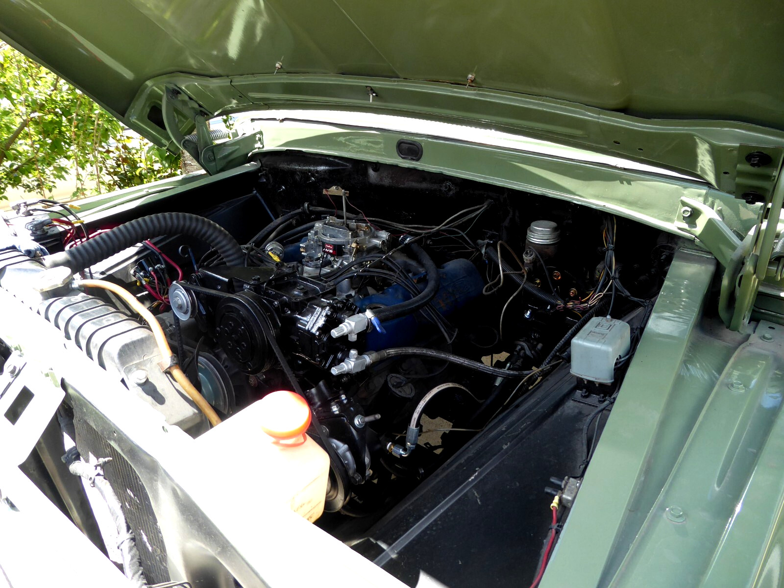 Ford-34-ton-1966-Std-Cab-Pickup-3