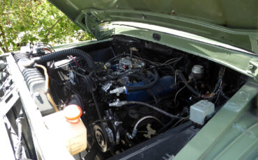 Ford-34-ton-1966-Std-Cab-Pickup-4