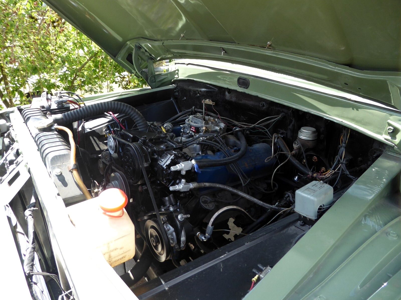 Ford-34-ton-1966-Std-Cab-Pickup-4