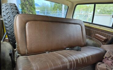 Ford-Bronco-1978-yellow-5