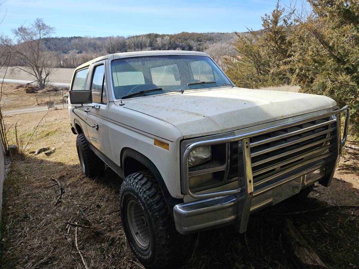 Ford-Bronco-1980-white-1