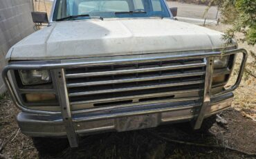 Ford-Bronco-1980-white-10