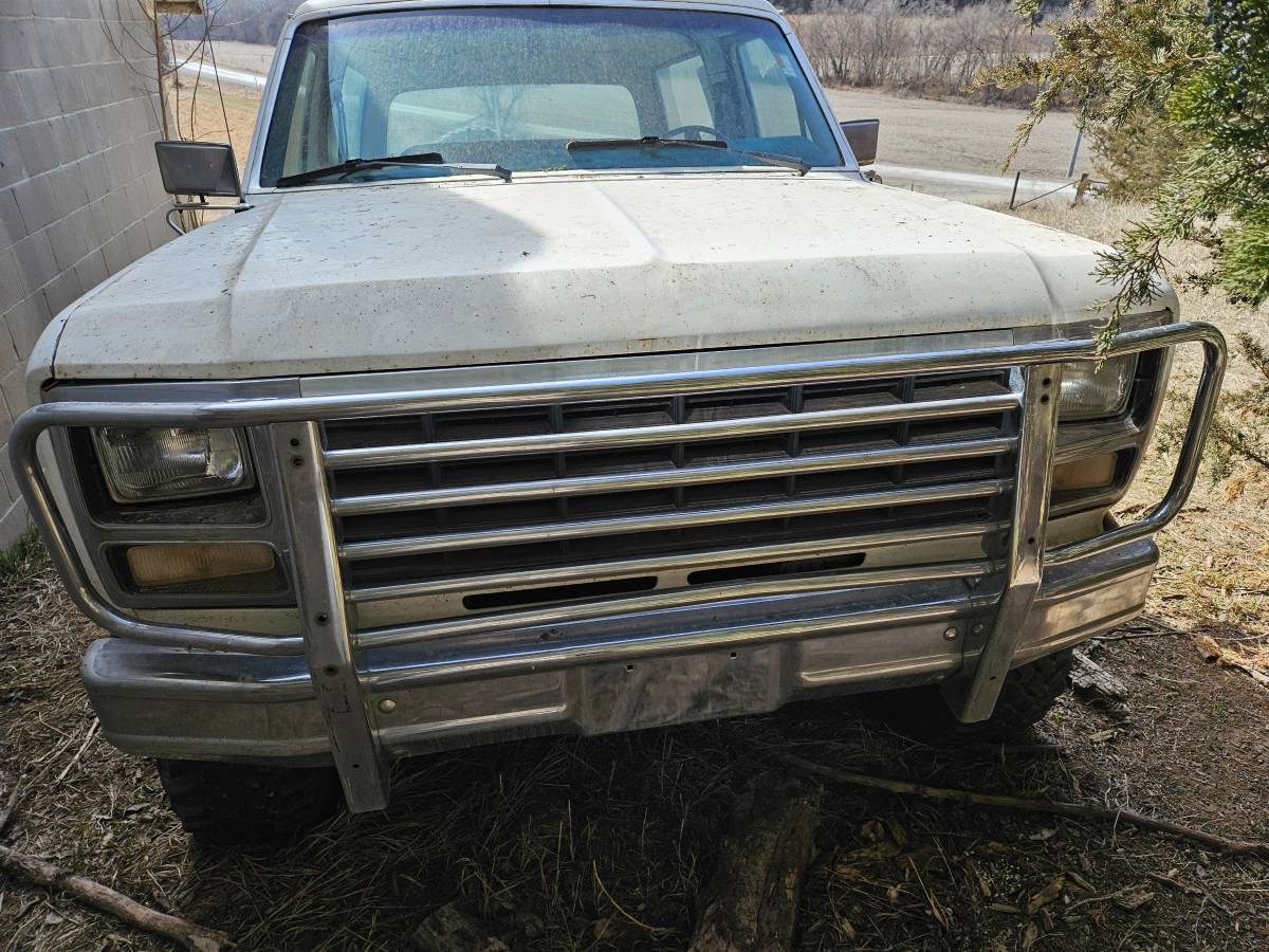 Ford-Bronco-1980-white-10