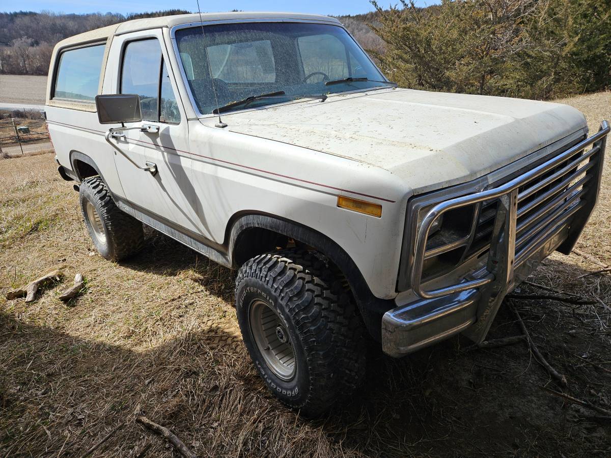 Ford-Bronco-1980-white-11
