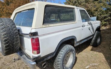 Ford-Bronco-1980-white-12