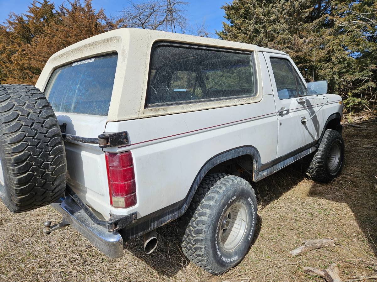 Ford-Bronco-1980-white-12