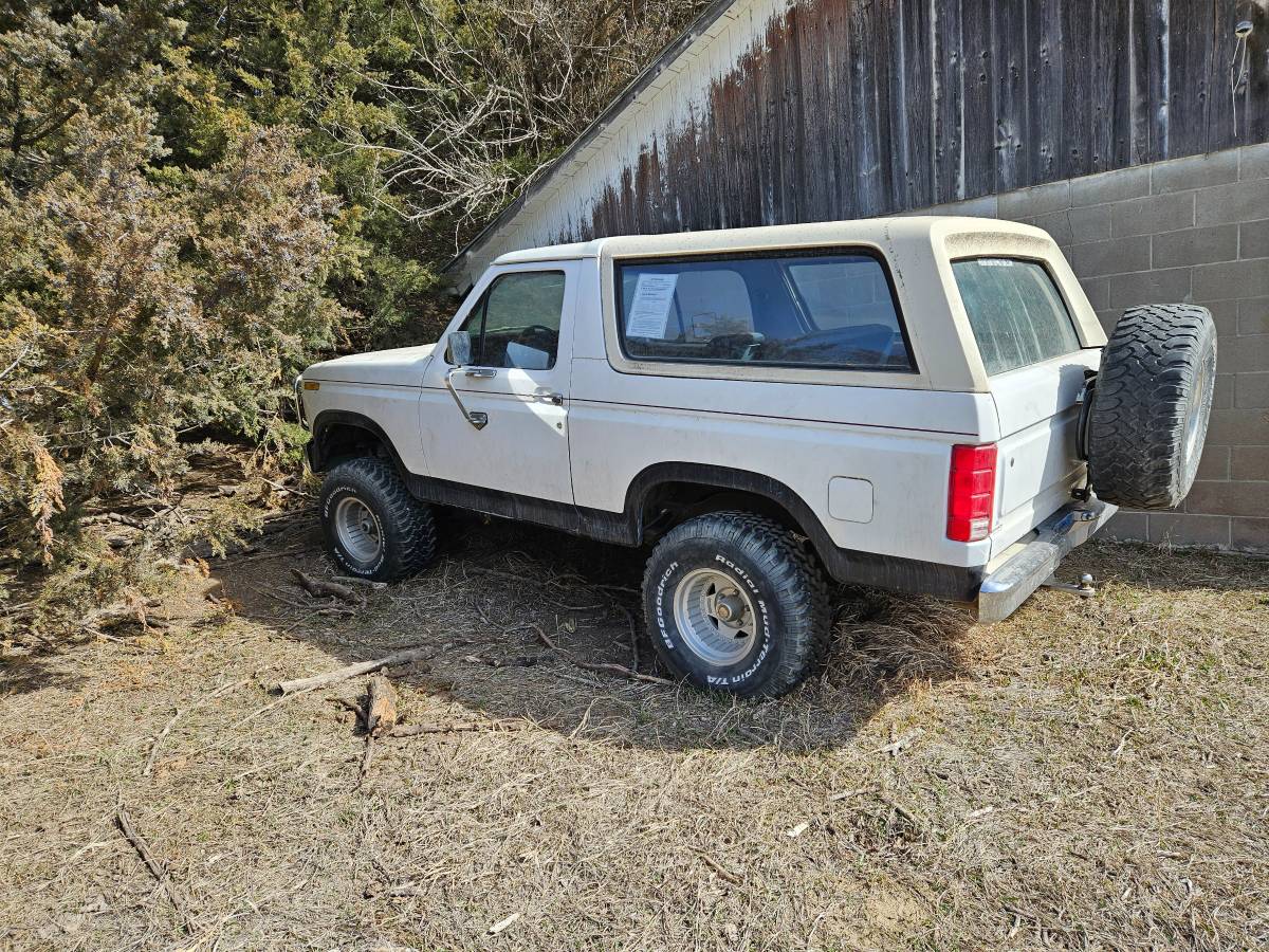 Ford-Bronco-1980-white-13