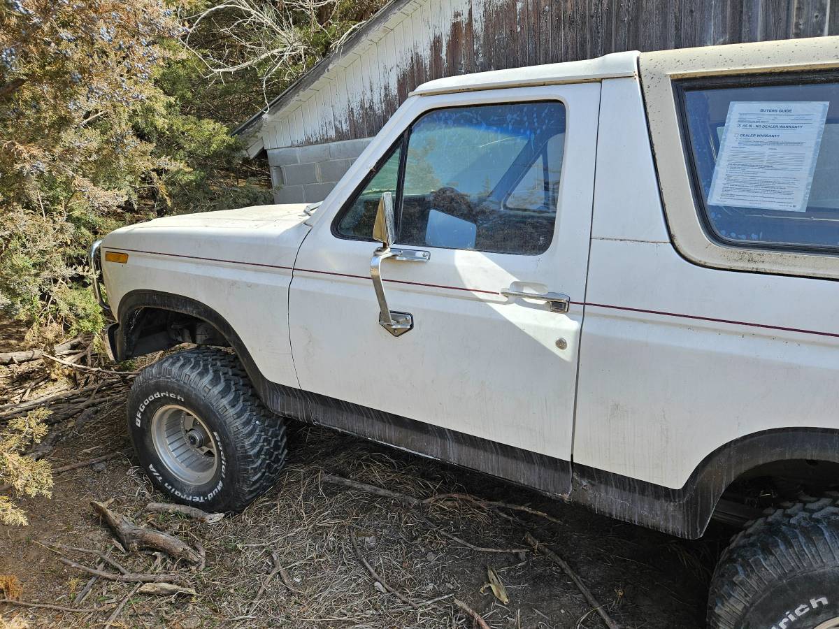 Ford-Bronco-1980-white-2