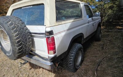 Ford Bronco  1980 white