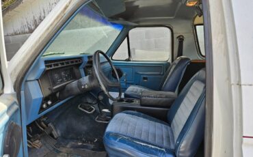 Ford-Bronco-1980-white-6