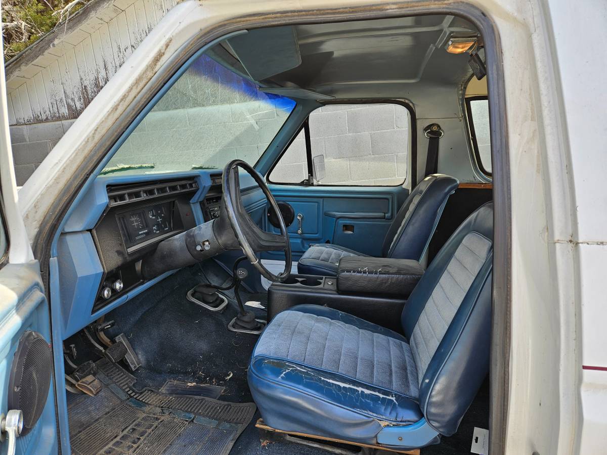 Ford-Bronco-1980-white-6