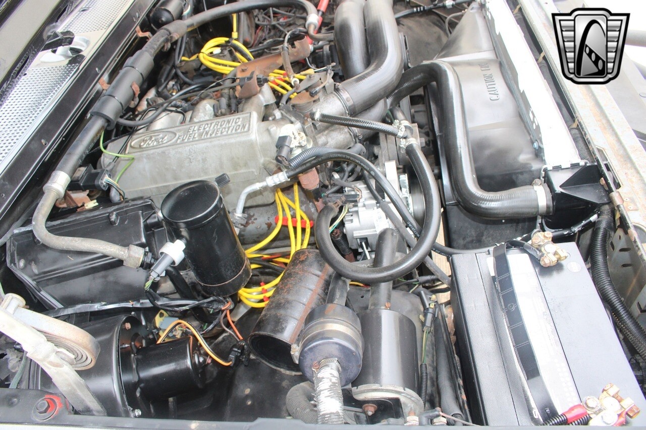Ford-Bronco-1988-12