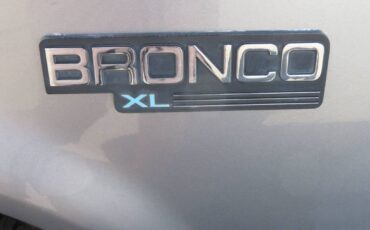 Ford-Bronco-1994-grey-21