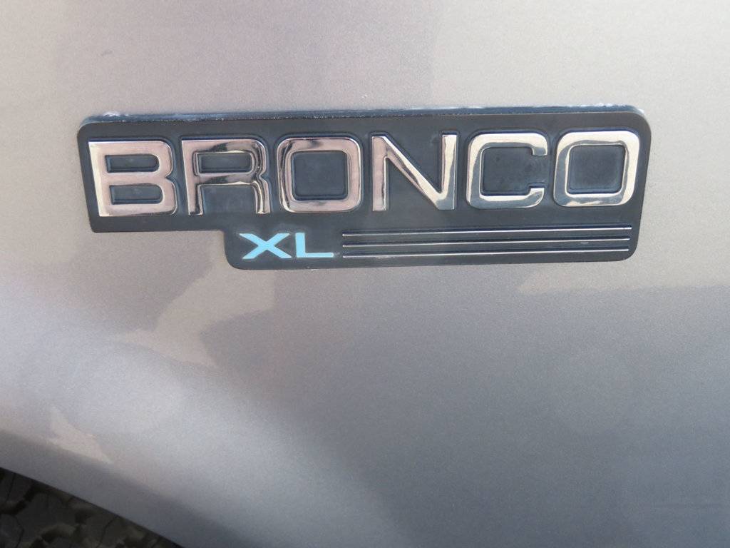 Ford-Bronco-1994-grey-21