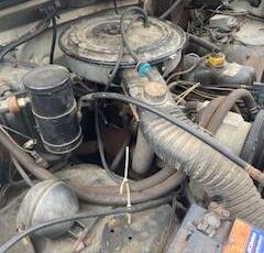 Ford-Bronco-4x4-1983-3