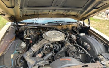 Ford-Country-Square-Wagon-1978-Wagon-26
