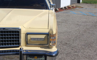Ford-Country-Square-Wagon-1978-Wagon-6