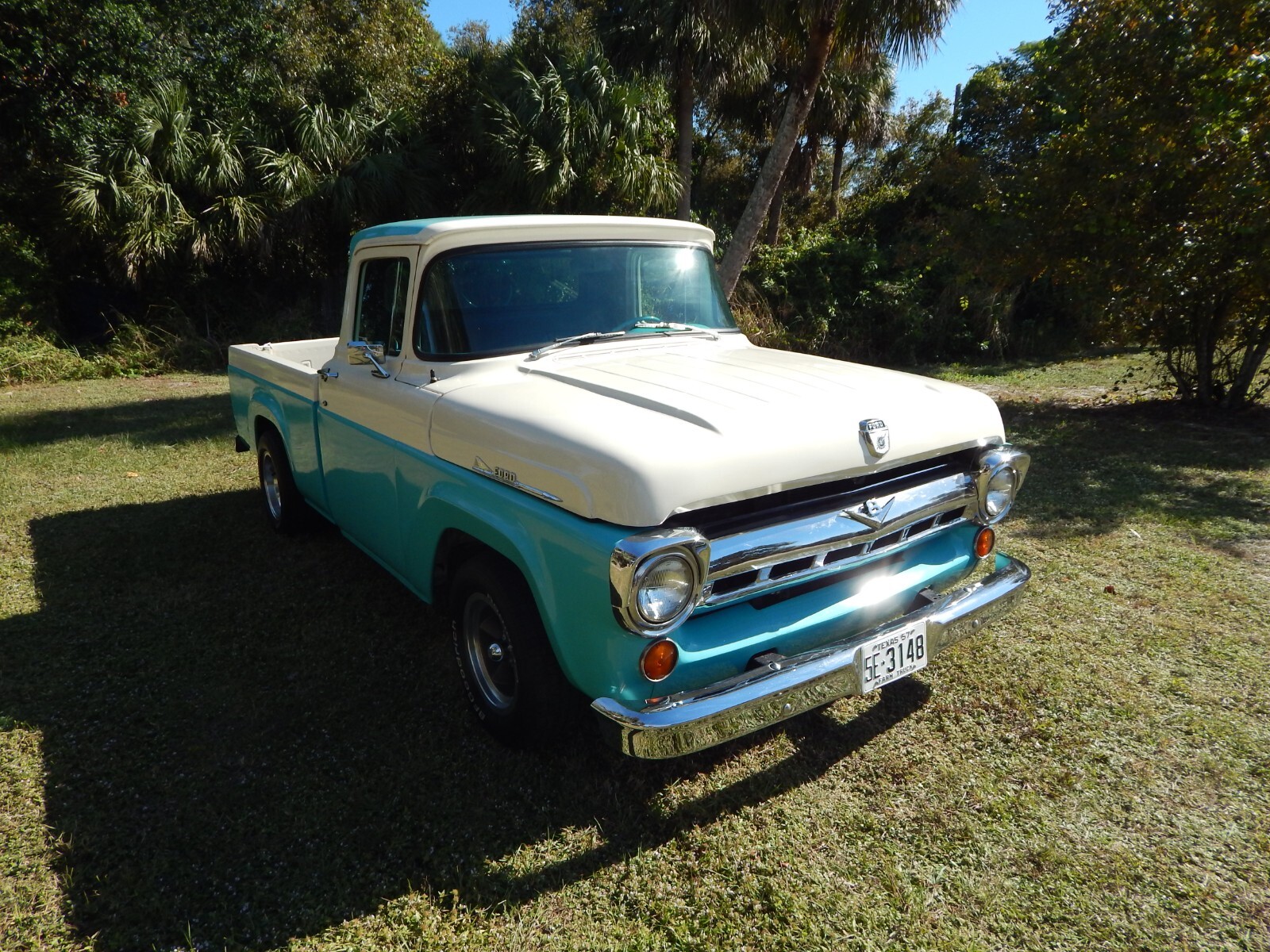 Ford-F-100-1957-truck-4