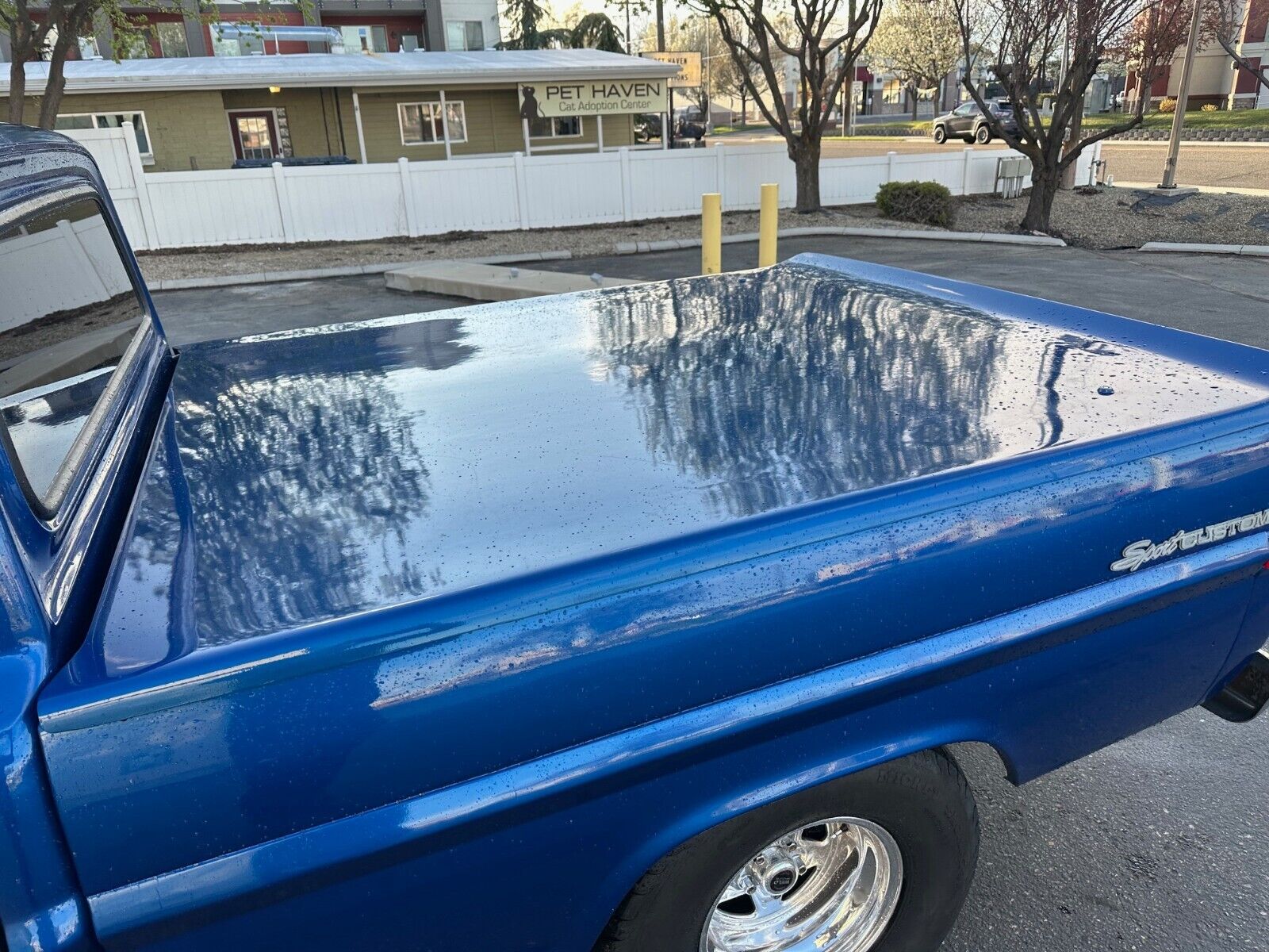 Ford-F-100-1968-Pickup-Truck-6