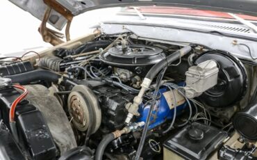 Ford-F-100-1978-Pickup-Truck-10