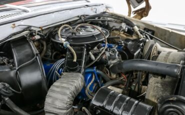 Ford-F-100-1978-Pickup-Truck-8